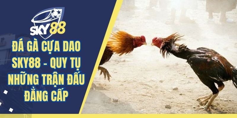 Đá Gà Cựa Dao SKY88 - Quy Tụ Những Trận Đấu Đẳng Cấp